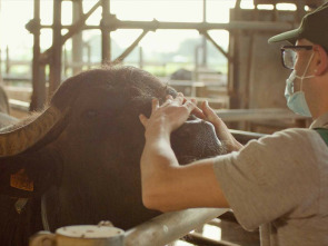 Imagen de La italia que gusta  - 1