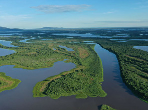 Imagen de Pantanal. El milagro natural de brasil - 1