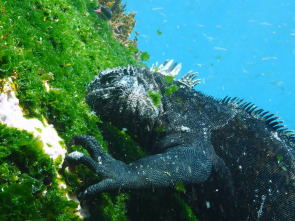 Imagen de Las Galápagos, la frontera del mundo - 1