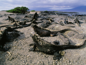 Imagen de Un día en la naturaleza: Un dia calido en el nuevo mundo - 1