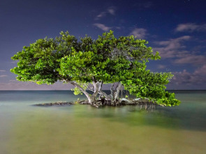 Imagen de America salvaje. 150 años de parques nacionales en - 1