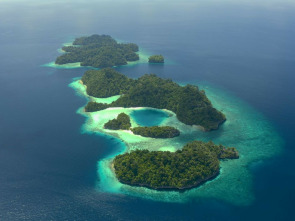 Imagen de El cercle màgic de...: Gegants diminuts: els organismes bentònics - 1