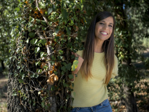 Imagen de ¡Qué animal! (T8): Pulpos - 1