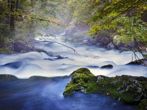 Imagen de Austria salvaje. La fuerza del agua - 1