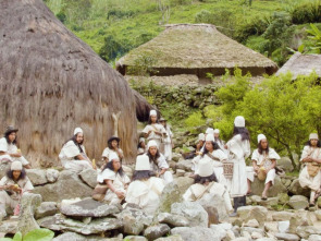 Imagen de La línea negra - 1