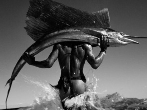 Imagen de Gian paolo barbieri. El hombre y la belleza - 1