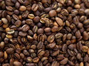 Imagen de Maestros de los sabores  - 1