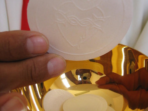 Imagen de El día del señor (T2025): Parroquia Ntra. Sra. de la Concepción. Día de la Inmaculada Concepción - 1