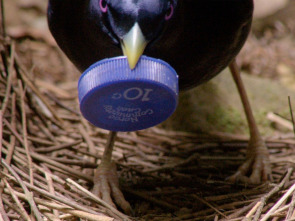 Imagen de Profesiones salvajes - 1