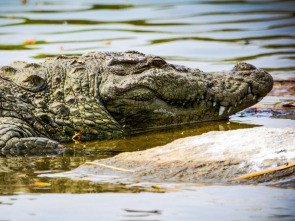Imagen de Del amanecer al crepúsculo - 1