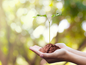 Imagen de Ríos (T1): Guadalquivir - 1