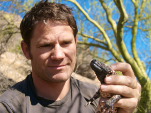 Imagen de Fauna letal: Estados sureños - 1