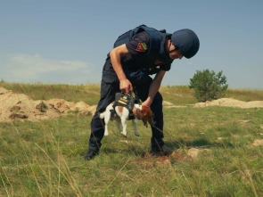 Imagen de Nosotros, nuestras mascotas y la guerra - 1