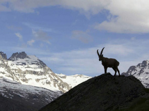 Imagen de El tiempo de una vida - 1