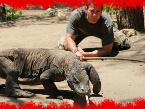 Imagen de Fauna letal: Fauna letal en México - 1