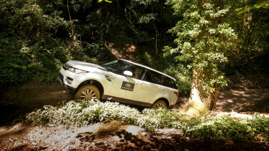 Imagen de Pitlane - 3