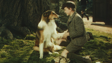 Imagen de La cadena invisible - 3