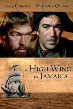 Imagen de Viento en las velas - 2
