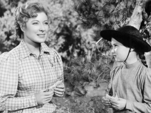 Imagen de La señora Chesney - 1