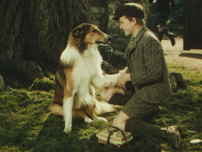 Imagen de La cadena invisible - 1