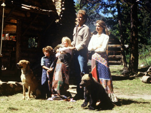 Imagen de La cabaña del fin del mundo II - 1