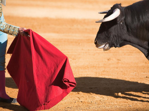 Imagen de Toros y pueblos - 1