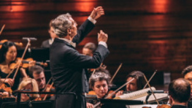 Imagen de Nielsen: Sinfonía n°. 4 - Danish National Symphony Orchestra Fabio Luisi - 14