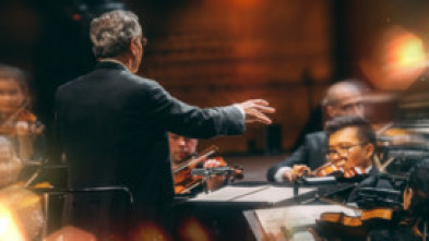 Imagen de Nielsen: Sinfonía n°. 6 - Danish National Symphony Orchestra Fabio Luisi - 14
