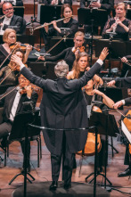 Imagen de Nielsen: Sinfonía n°. 2 - Danish National Symphony Orchestra Fabio Luisi - 11