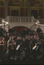 Imagen de Orchestre Philharmonique de Monte-Carlo, Gil Shaham, Fabien Gabel: Mahler, Korngold, Ravel - 8