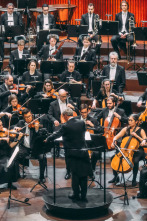 Imagen de Nielsen: Sinfonía n°. 3 - Danish National Symphony Orchestra Fabio Luisi - 4