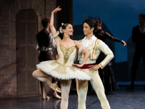 Imagen de José Martinez: Don Quijote - Gran Teatro de Burdeos - 1