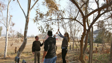 En busca de ovnis: Avistamientos en Texas