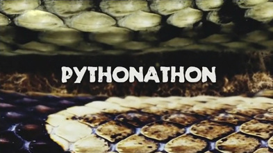 Imagen de Caza a la pitón birmana - 8