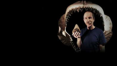 Imagen de Las diez bestias más grandes del mundo - 5