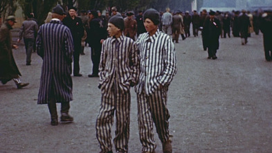 Imagen de Rendición: La caída de la Alemania nazi - 5