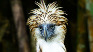 Imagen de Wild Filipinas  - 4