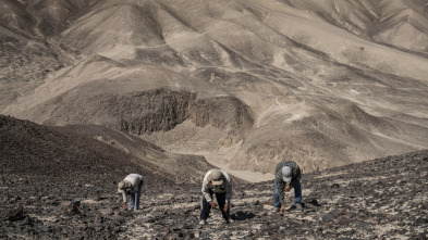 Imagen de Las líneas de Nazca - 5
