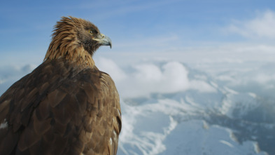 Imagen de Planeta hostil: Montañas - 5