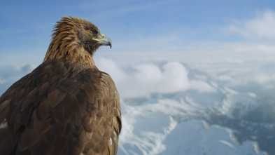 Imagen de Planeta hostil: Praderas - 5