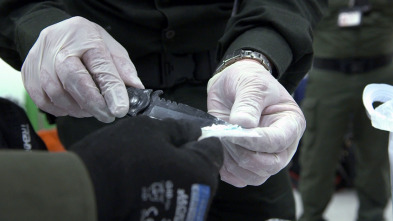 Imagen de Alerta aeropuerto:...: Todo queda en familia - 3