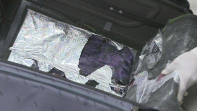 Imagen de Alerta Aeropuerto 6: Perú y Brasil  - 7