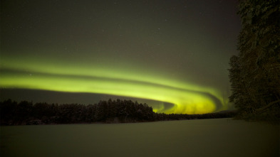 Imagen de Wild Laponia - 11