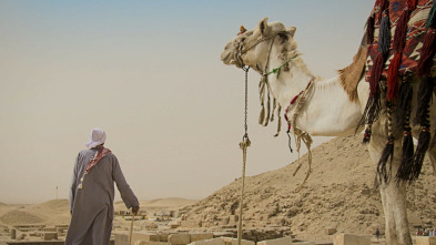 Imagen de Especial el reino de las momias  - 9