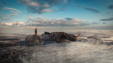 Imagen de Drenar los océanos: a...: Barcos fantasma - 5