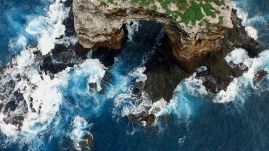 Imagen de Pristine Seas: Protegiendo los mares - 4