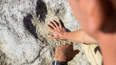 Imagen de El cazador de dinosaurios  - 5