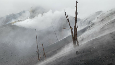 Islas Canarias: Nacidas del Fuego