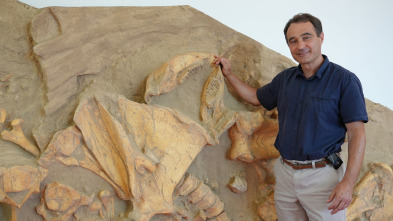 Imagen de Bestias del pasado: Tigre dientes de sable - 4