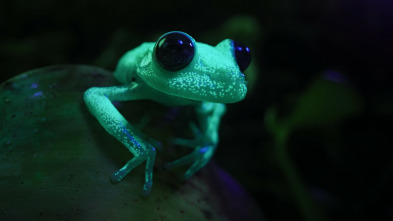Imagen de Wild Argentina: Tierra de agua - 5